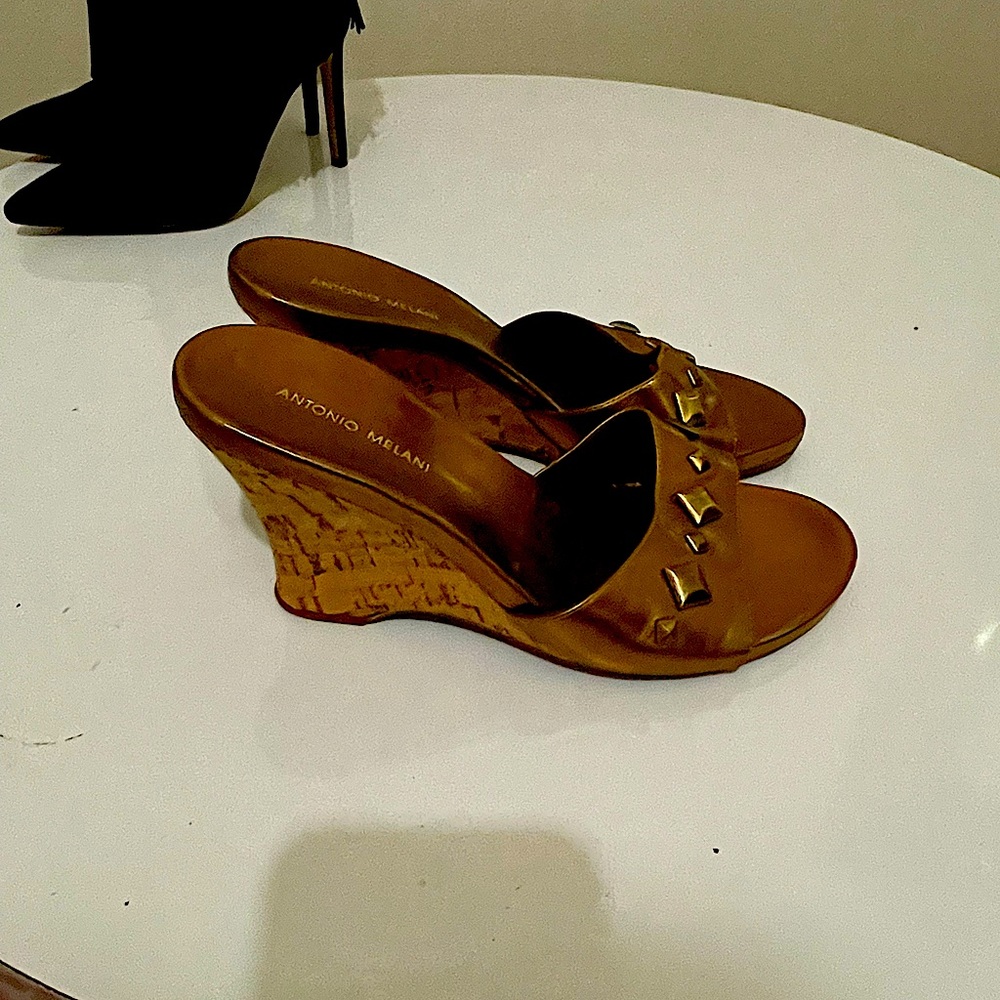 #3 Bronze wedge sandal